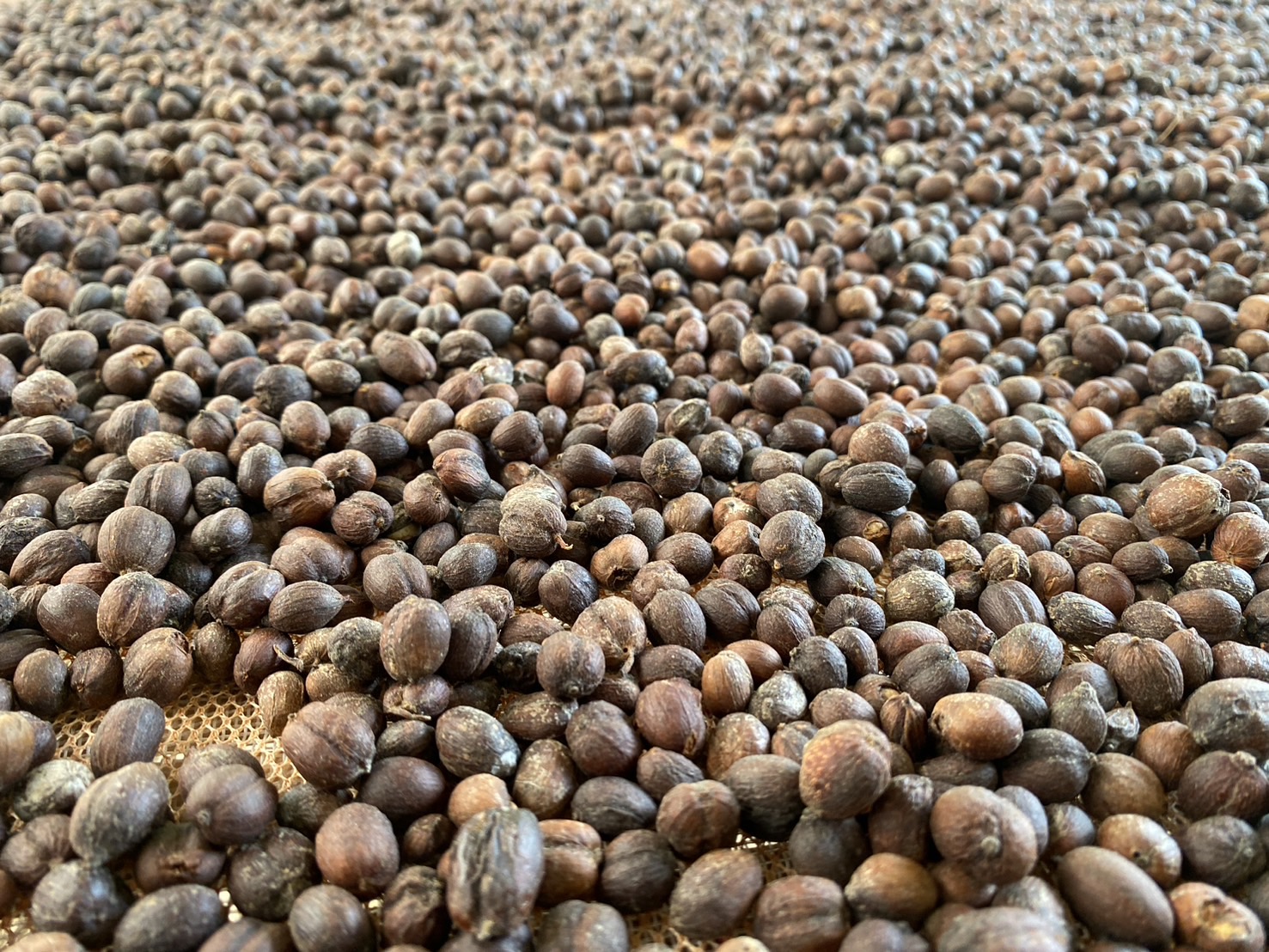 title - หัวหน้าผู้ตรวจราชการ ส.ป.ก. (เขต 3,15 และ 16) ประชุมตรวจติดตามความก้าวหน้าการดำเนินงานตามแผนงานตรวจราชการ ประจําปีงบประมาณ 2569 รอบที่ 1 ณ จังหวัดราชบุรี